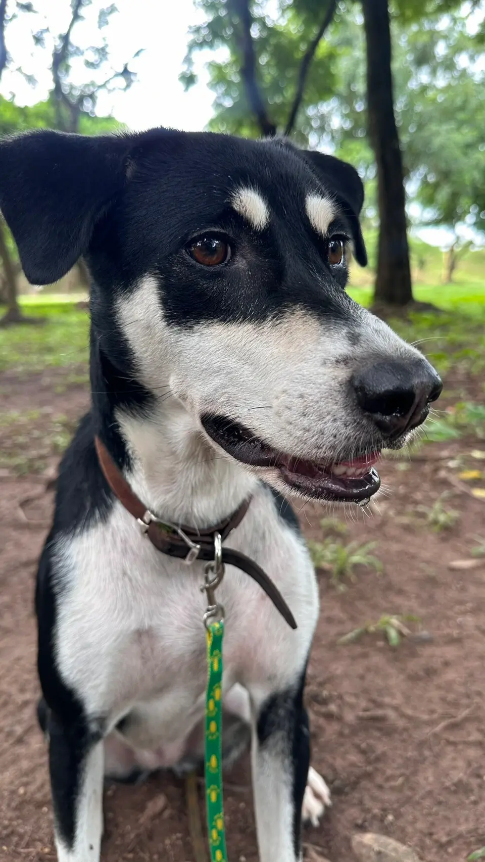 Kiki